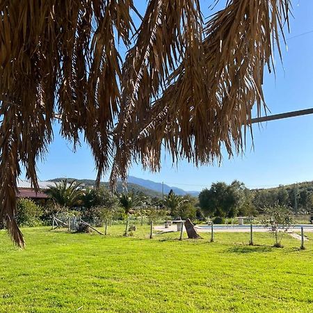 Agriturismo Su Niu Uta Luaran gambar